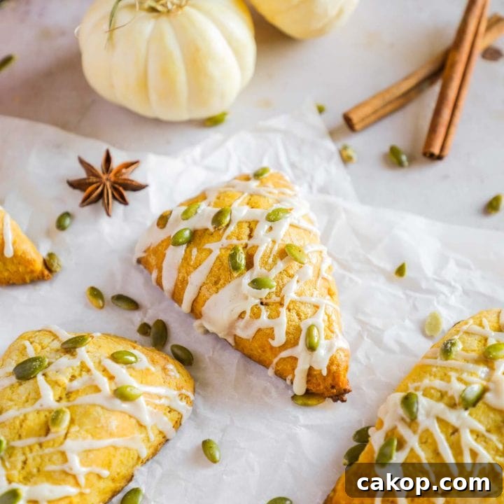 Pumpkin scones (better than Starbucks!) with maple vanilla paste glaze on parchment paper with decorative white pumpkins and cinnamon sticks.