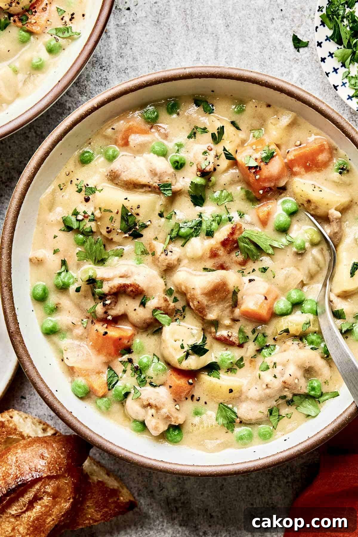 25 Comforting Winter Stews to Warm You Up 2 Creamy Chicken Stew
