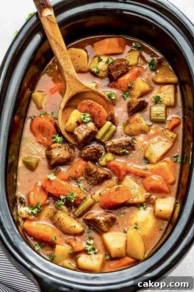 25 Comforting Winter Stews to Warm You Up 11 Slow Cooker Beef Stew