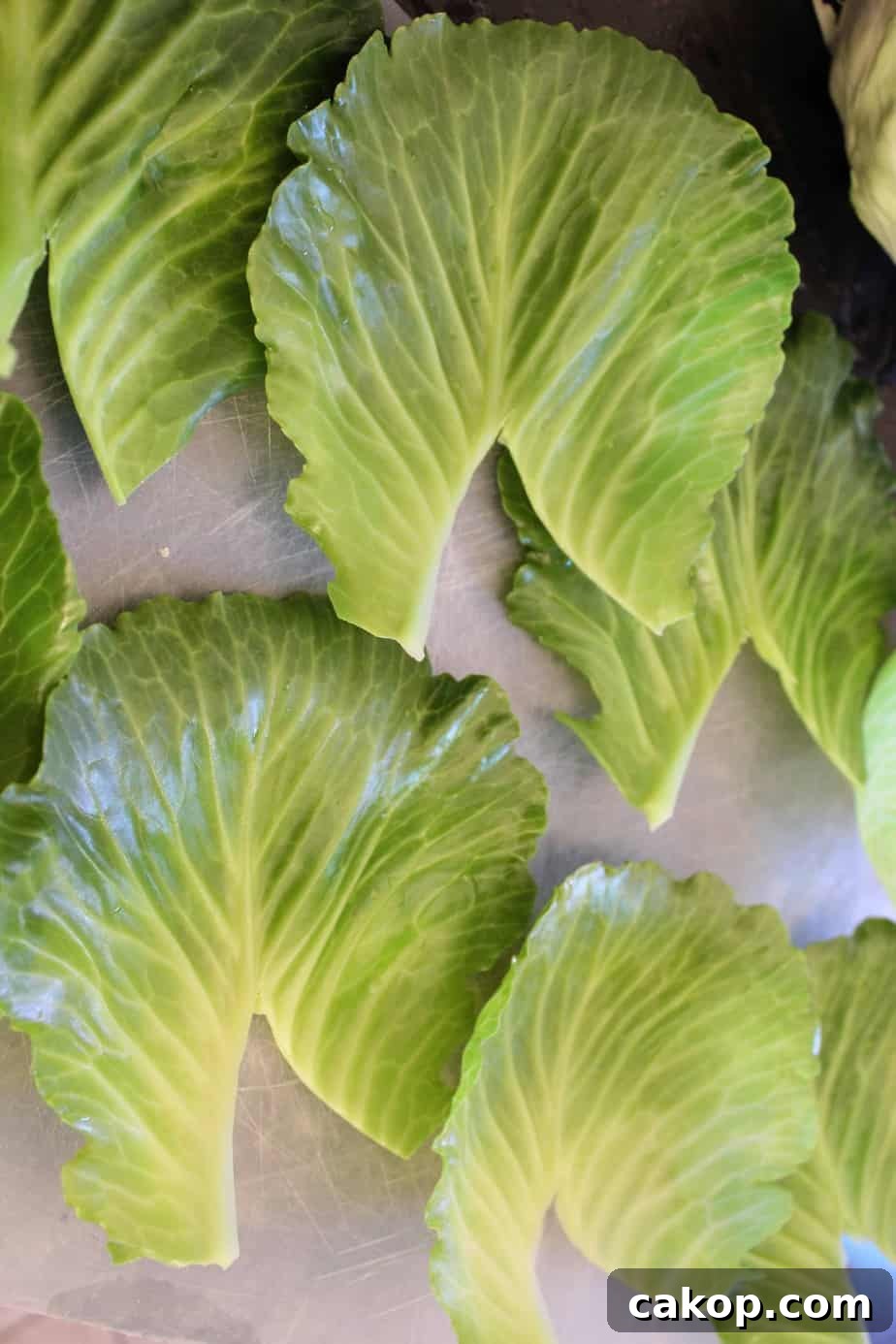 Prepped Cabbage Leaves.