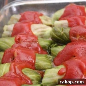 Easy Baked Stuffed Cabbage Rolls