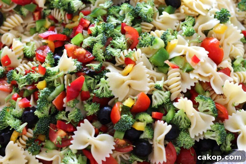 Italian Style pasta salad containing tomatoes, peppers, cheese and broccoli.