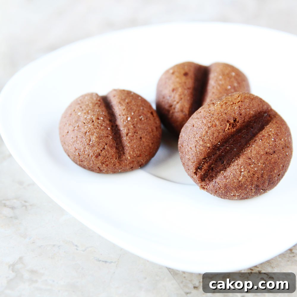 Protein Coffee Bean Cookies — Vegan High-Protein Snack Recipe 2 img 4609 1