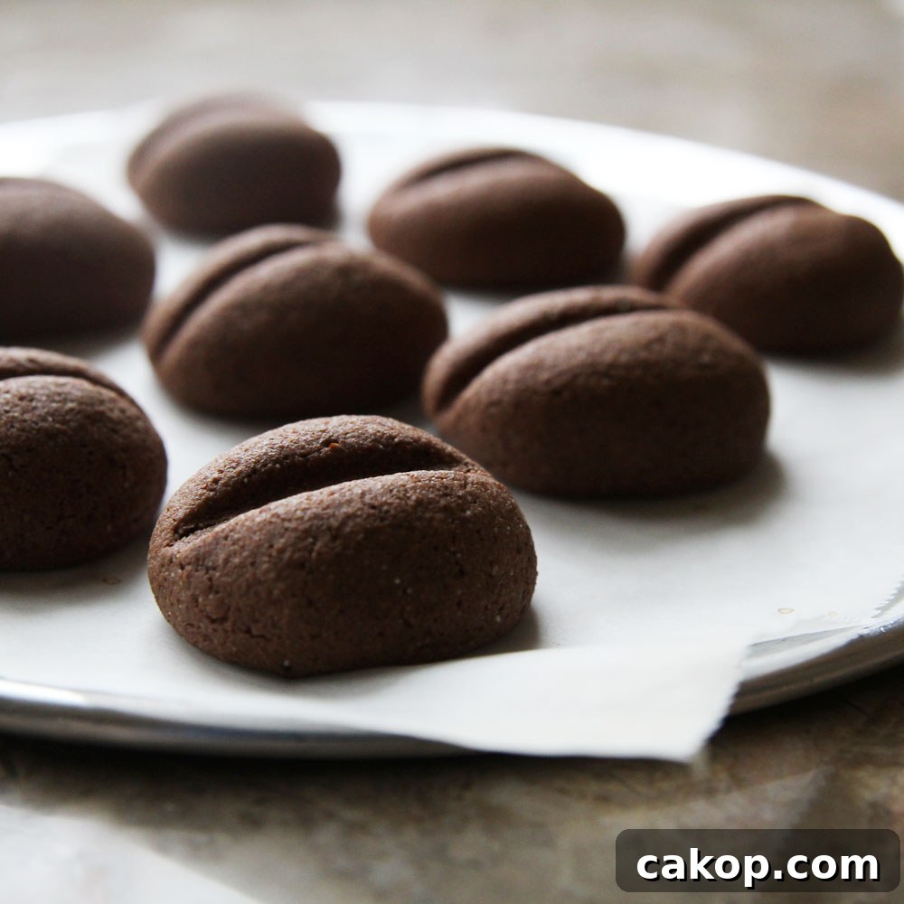 Protein Coffee Bean Cookies — Vegan High-Protein Snack Recipe 4 img 4609 3