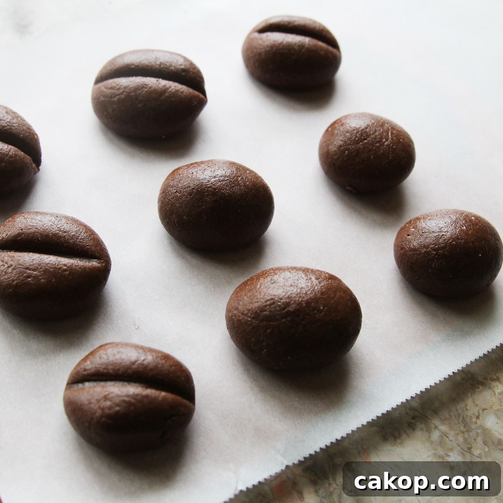 Healthy Coffee Bean Cookies (Easy Vegan Snack High in Protein)