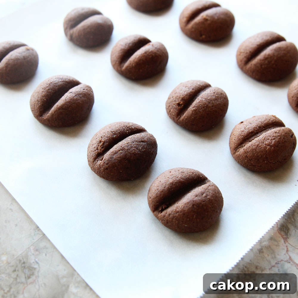 Healthy Coffee Bean Cookies (Easy Vegan Snack High in Protein)