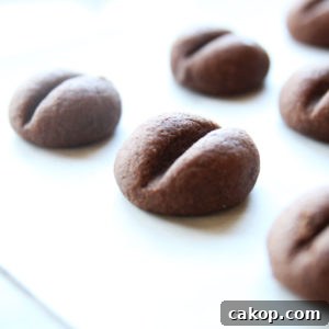 Protein Coffee Bean Cookies — Vegan High-Protein Snack Recipe 16 Healthy Coffee Bean Cookies (Easy Vegan Snack High in Protein)
