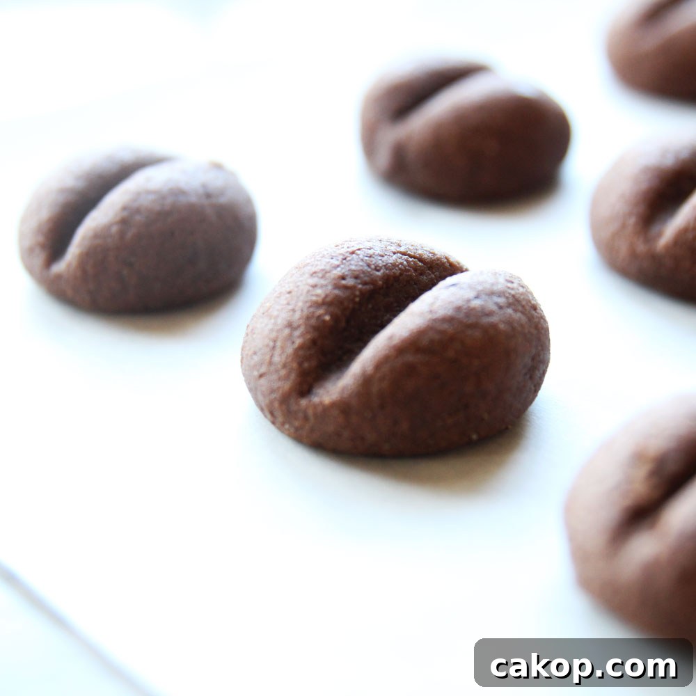 Protein Coffee Bean Cookies — Vegan High-Protein Snack Recipe 10 img 4609 9
