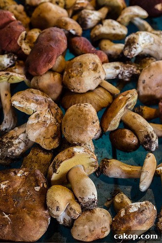 Market - Mercato