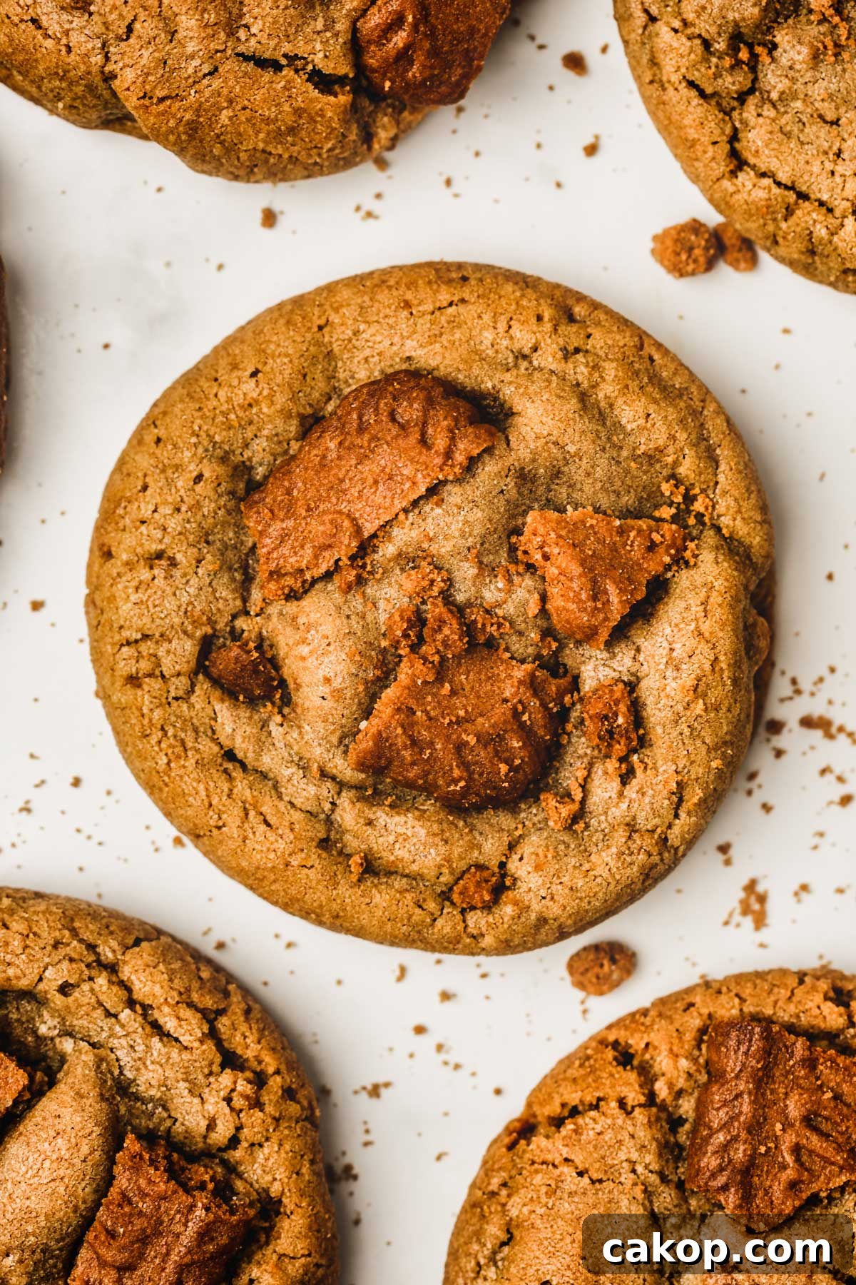 Biscoff Cookie Butter Cookies Recipe — Crunchy Spiced Biscuits 3 freshly baked cookie butter cookies on a work surface