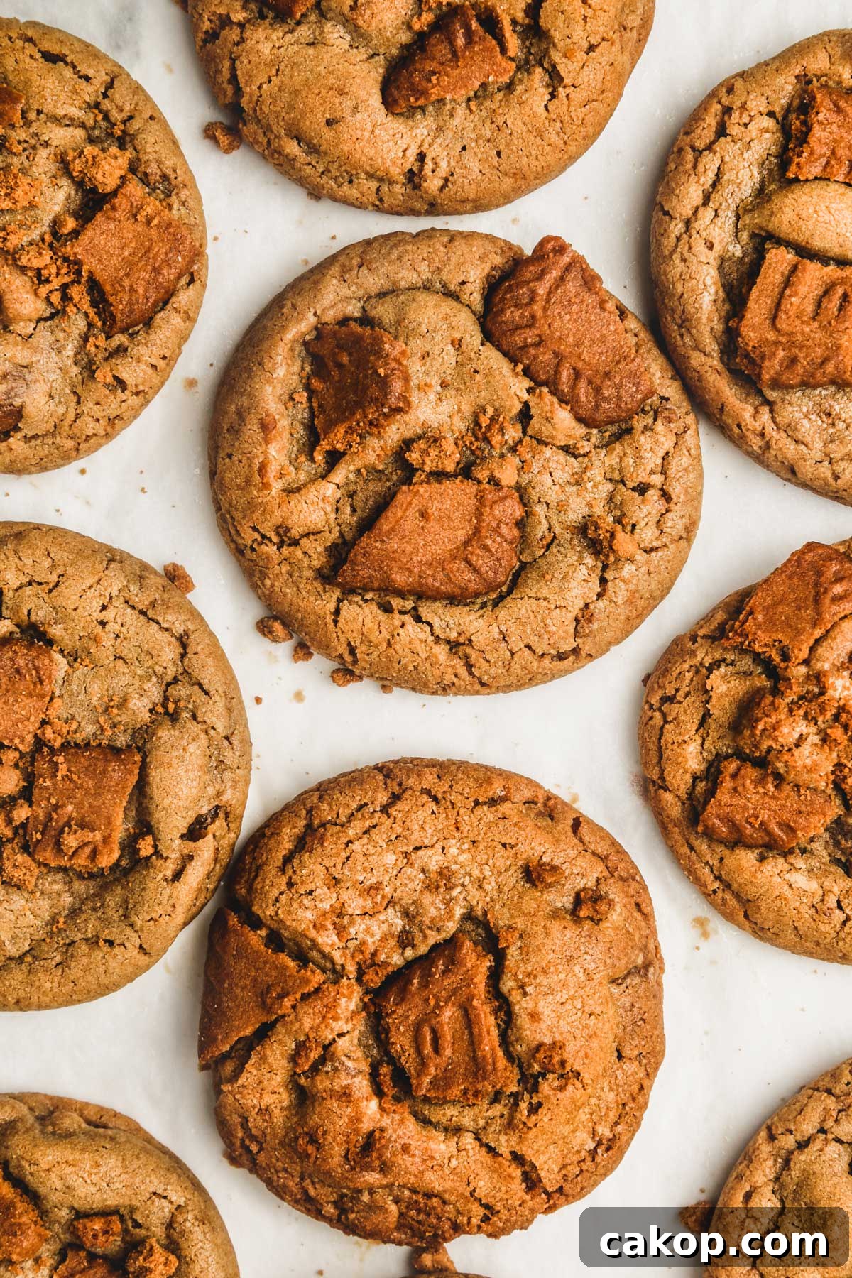 Biscoff Cookie Butter Cookies Recipe — Crunchy Spiced Biscuits 9 baked cookie butter cookies cooling on a rack