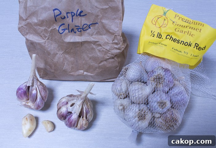 Fresh garlic from The Hudson Garlic Festival!