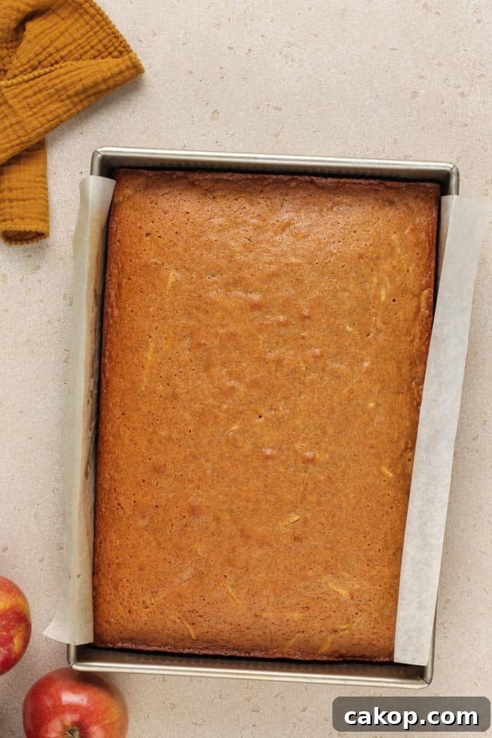 Baked apple butter cake in a parchment-lined cake pan, ready to be frosted.