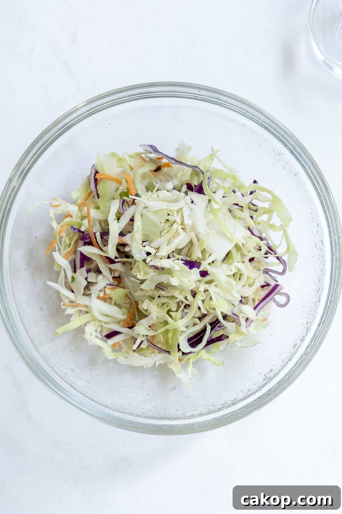 Mango-Lime Shrimp Tacos with Fresh Cilantro Salsa 4 coleslaw with lime juice