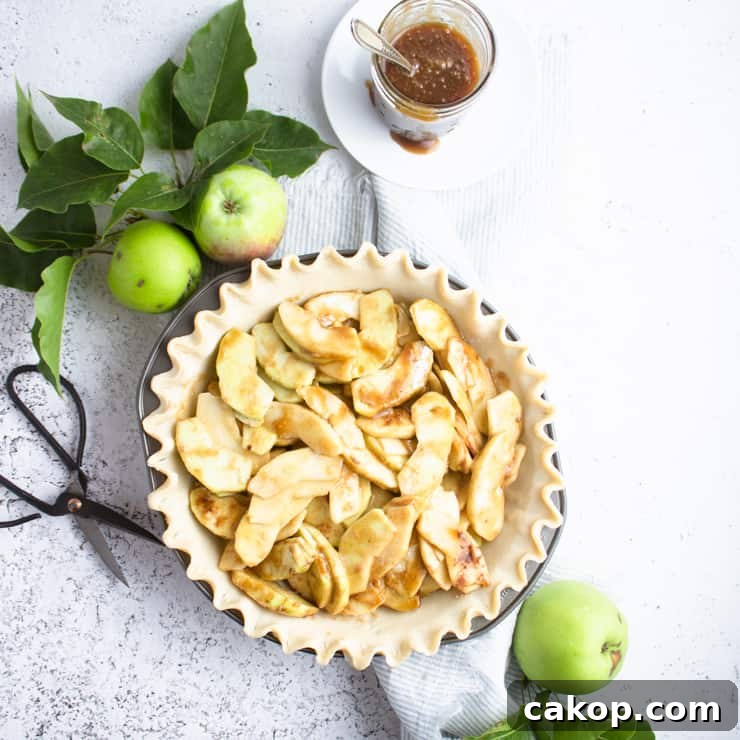 open pie crust filled with apple pie filling