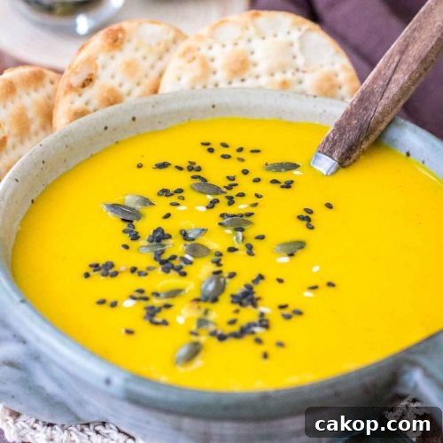 Creamy Carrot Curry Soup served in a bowl with crackers topped with seeds