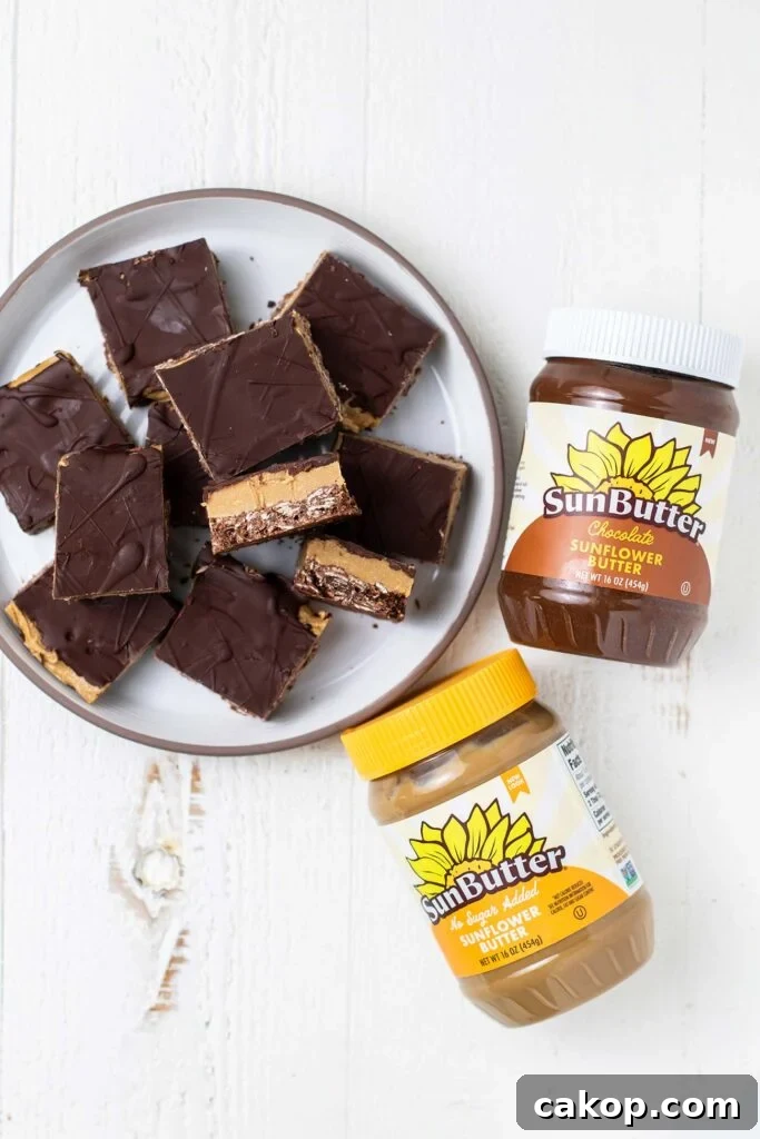 A plate of sunbutter cookies shown with a jar of chocolate sunbutter and no sugar added sunbutter.