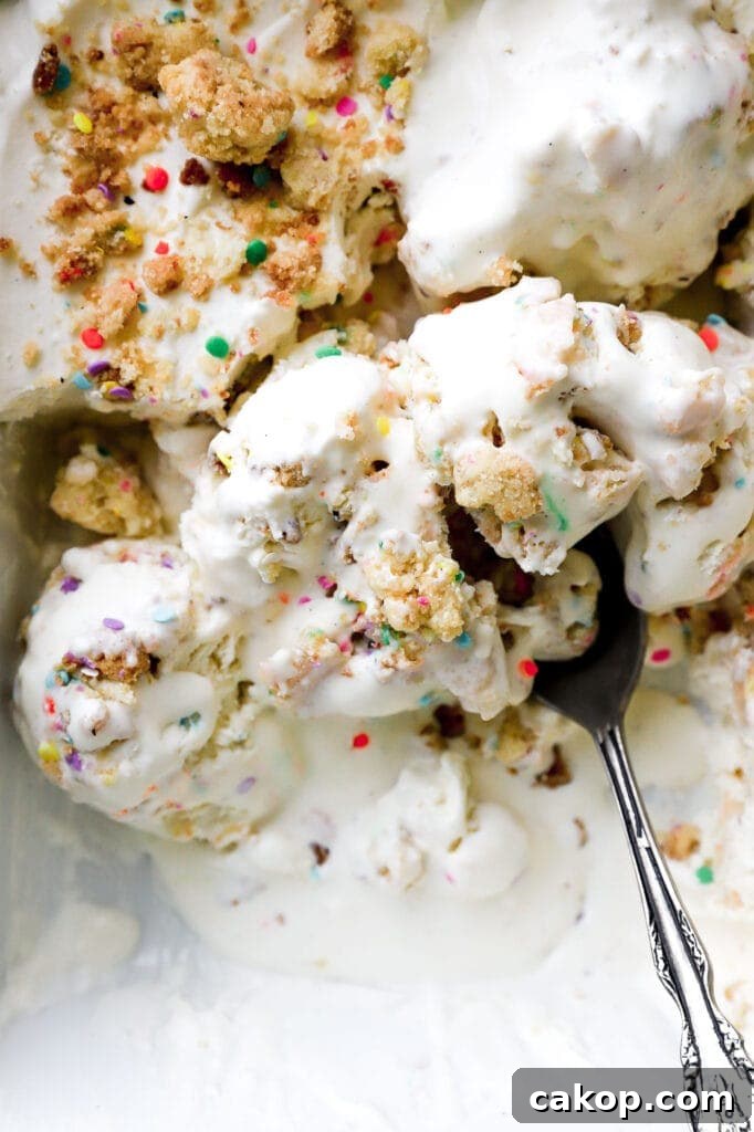 Brown Butter Swirl Birthday Cake Ice Cream Recipe 5 homemade no churn ice cream with sprinkles