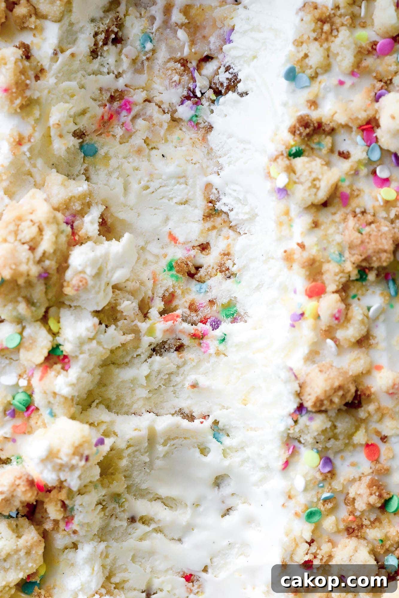 Brown Butter Swirl Birthday Cake Ice Cream Recipe 6 img 5728 5