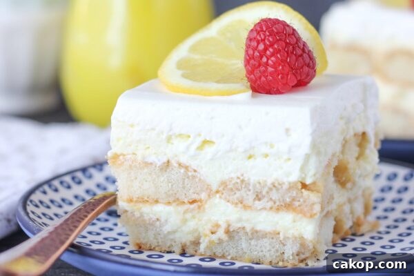 9 Refreshing No-Bake Summer Desserts to Try Today 3 img 6003 2
