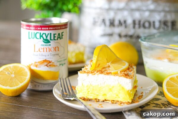 9 Refreshing No-Bake Summer Desserts to Try Today 5 img 6003 4
