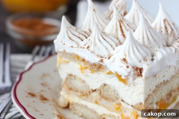 9 Refreshing No-Bake Summer Desserts to Try Today 6 img 6003 5