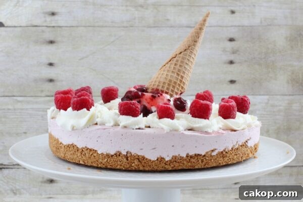 9 Refreshing No-Bake Summer Desserts to Try Today 8 img 6003 7
