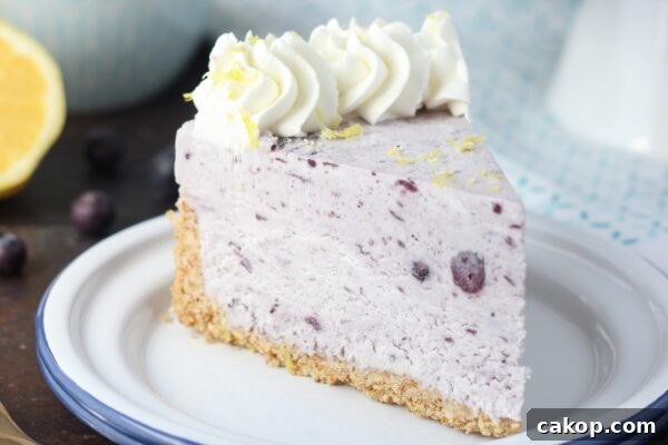 9 Refreshing No-Bake Summer Desserts to Try Today 10 img 6003 9