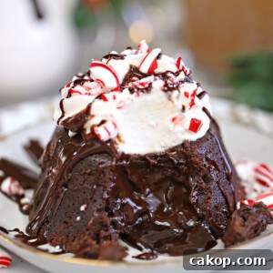Fudgy Chocolate Brownies Recipe for Rich, Gooey Results 2 Peppermint Lava Cakes