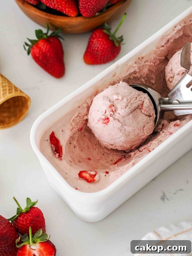 Homemade Strawberry Ice Cream Recipe with Fresh Berries 14 A scoop of strawberry ice cream in a white container.