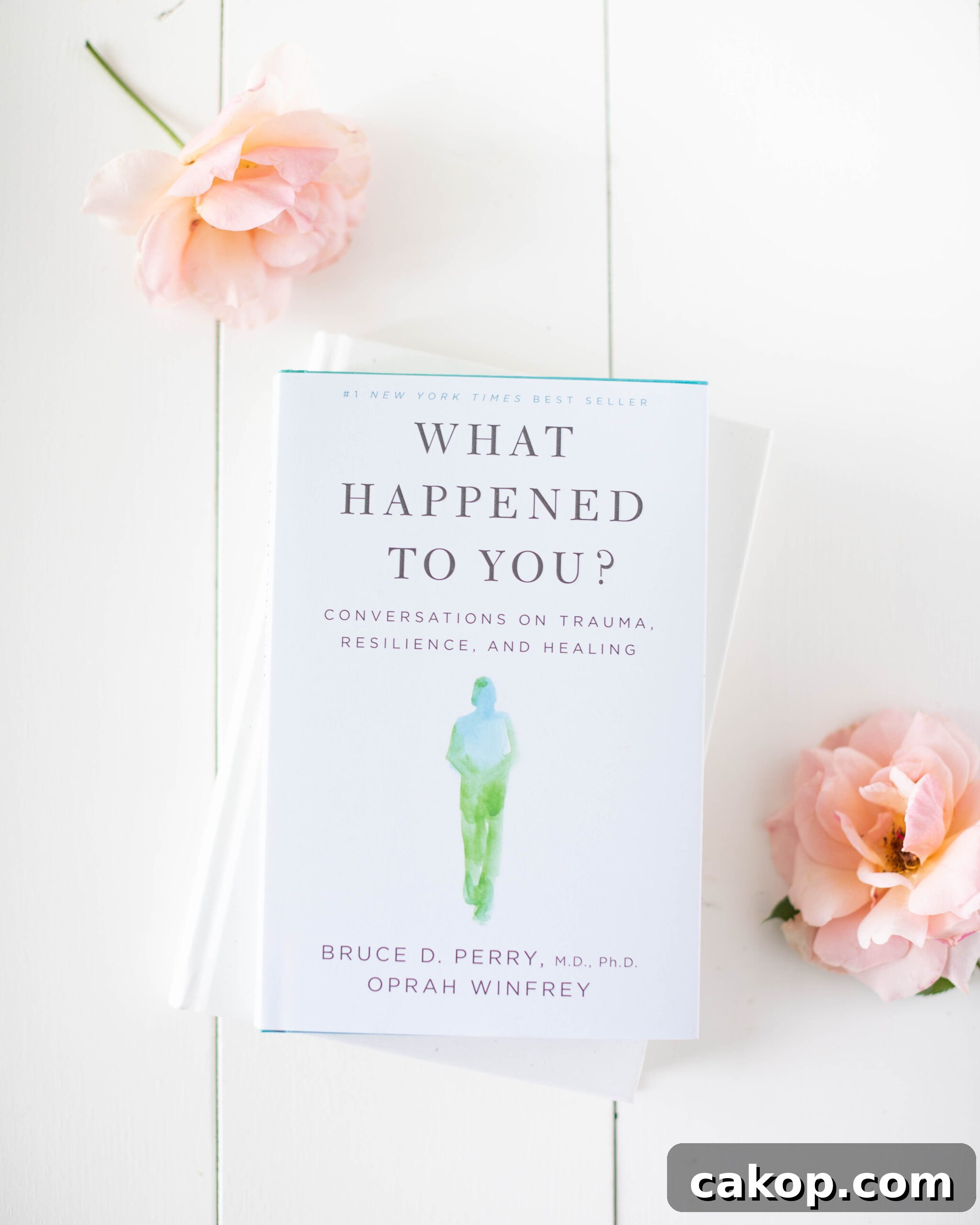 Our Fall Reading List - What Happened to You?