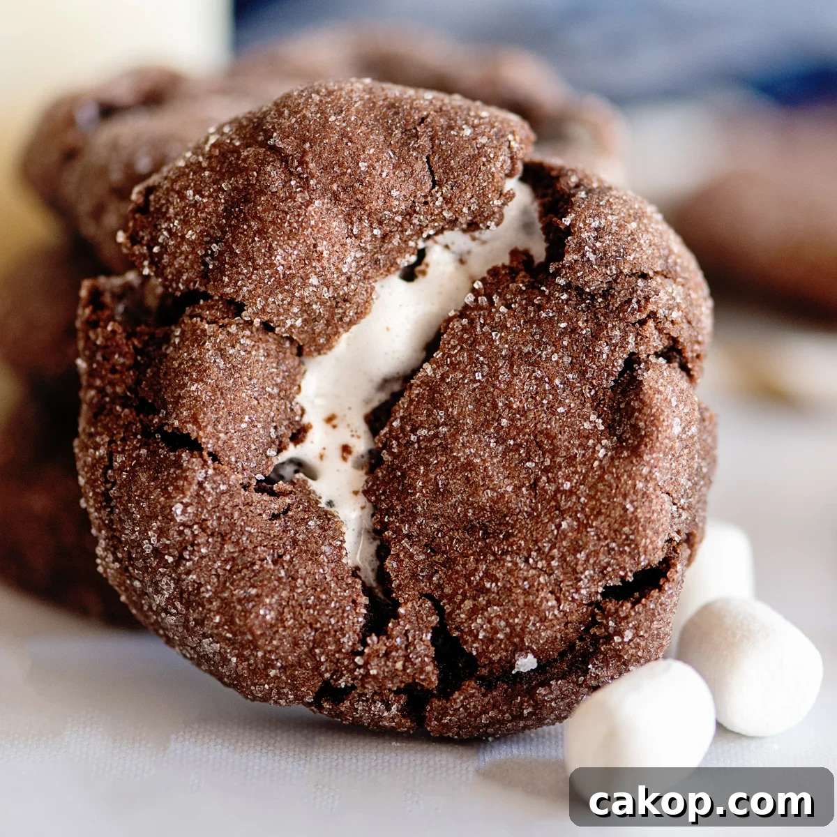Cotton Candy Marshmallows: Fluffy Homemade Treats to Try 14 Chocolate Marshmallow Cookies