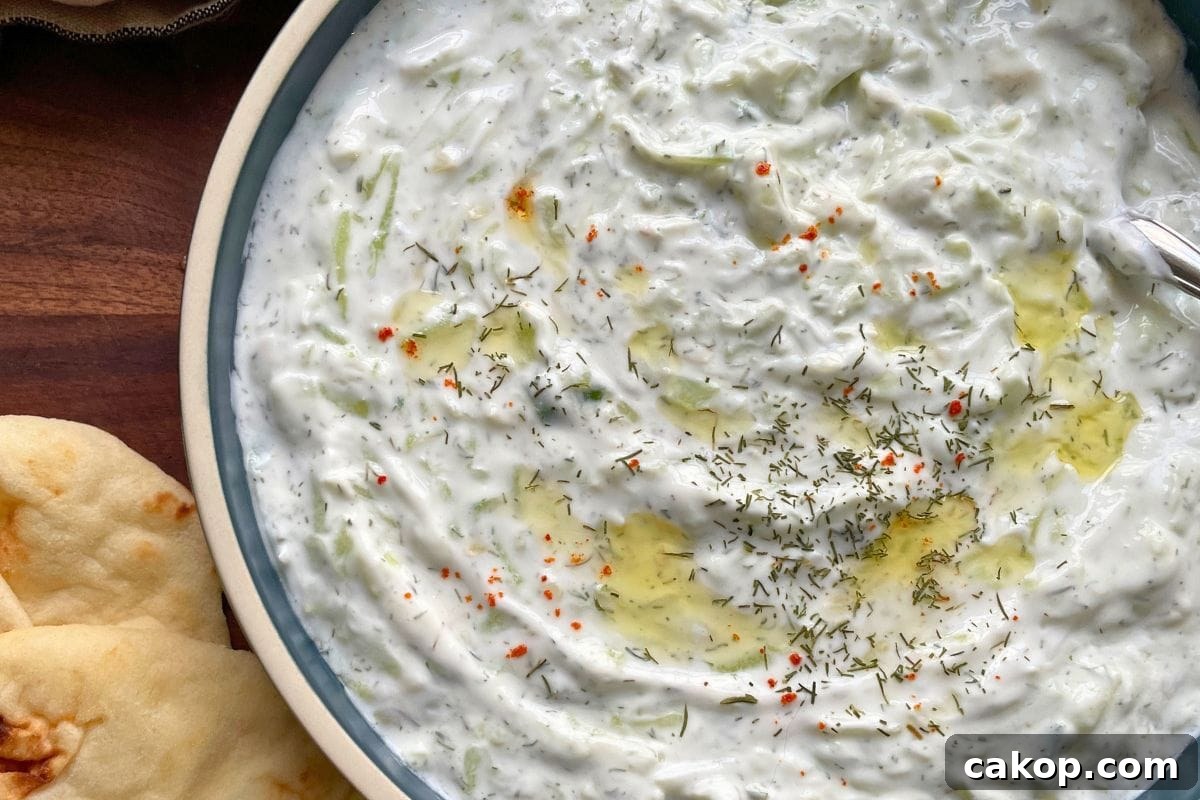 17 Refreshing Cucumber Recipes to Try Before Summer Ends 2 A close-up view of homemade tzatziki sauce garnished with dill and spices, served with slices of pita bread on the side.