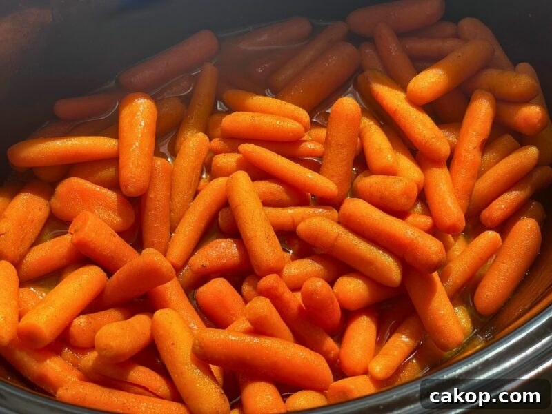 A close-up view of bright orange baby carrots cooked and served in a cooking pot.