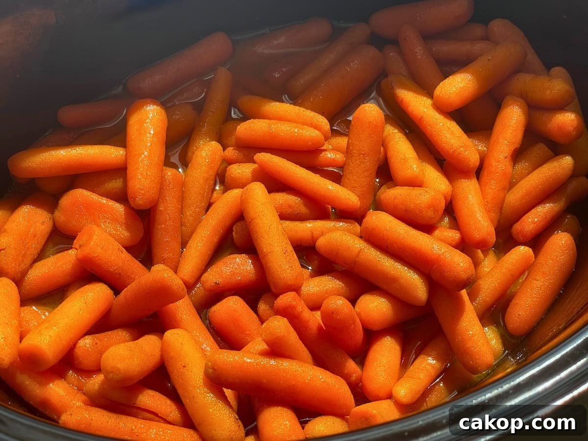 A close-up view of bright orange baby carrots cooked and served in a cooking pot.