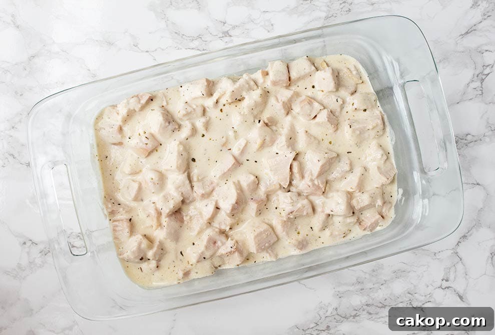 keto alfredo casserole overhead view of casserole dish with alfredo sauce on chicken