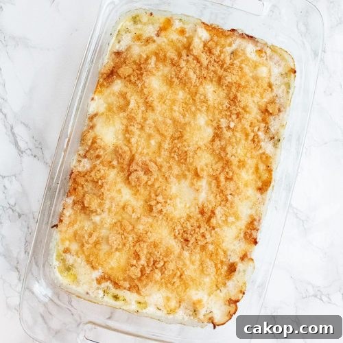 overhead view of diagonal keto alfredo casserole fully cooked and bubbly