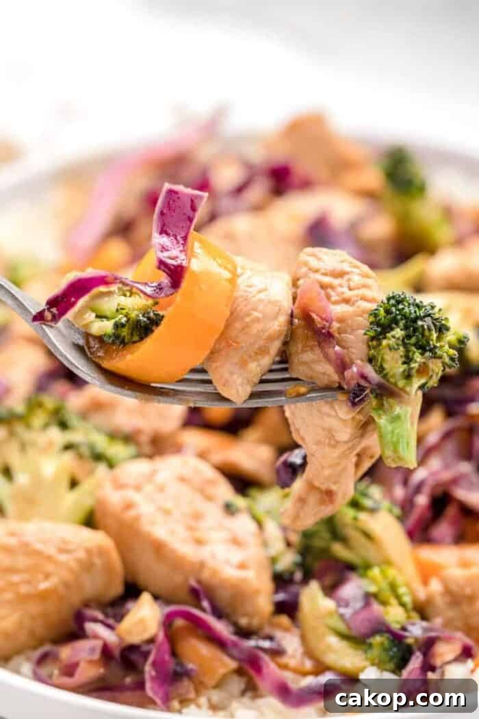 closeup view of keto stir fry with piece of chicken and vegetables on a fork