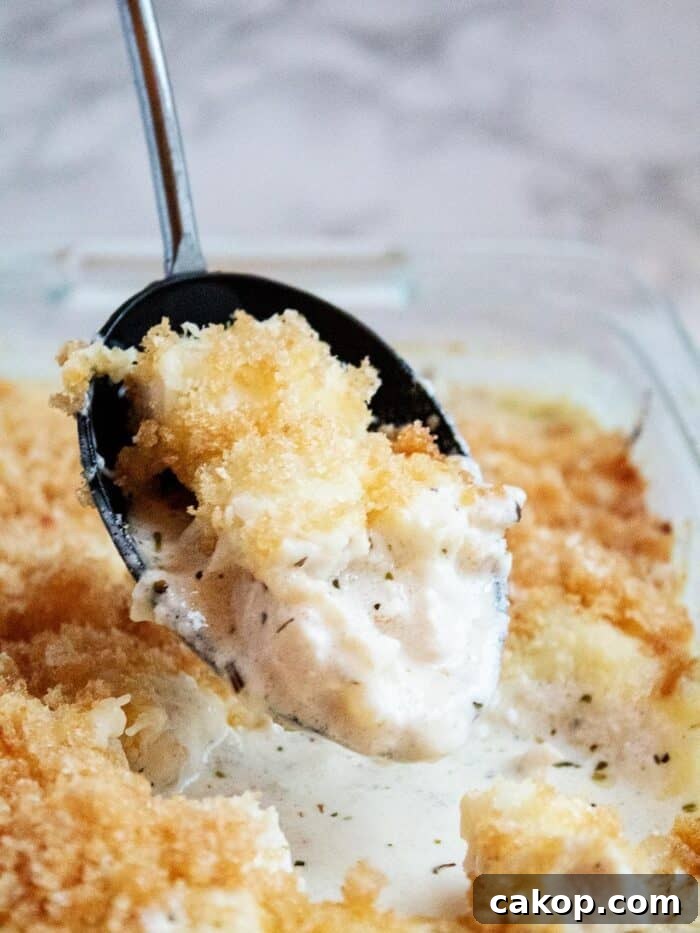 keto alfredo casserole with a large black spoon dipped into the dish