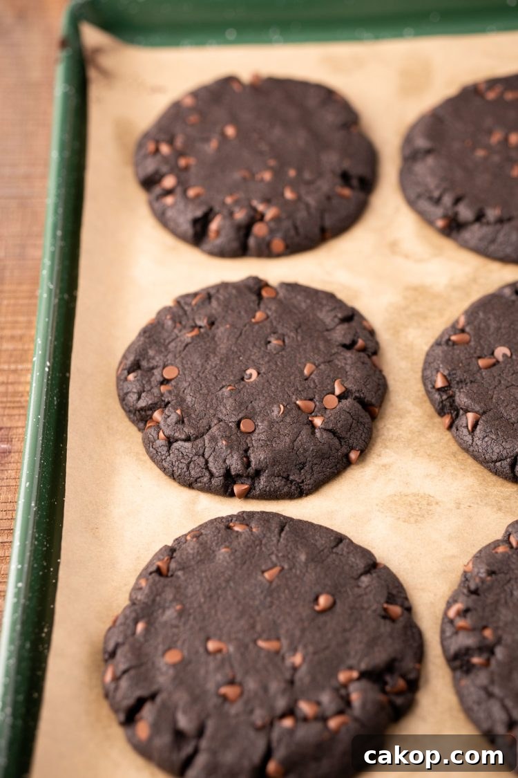 Black cocoa cookies on a parchment lined baking sheet.