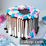 gender reveal piñata cake | The Baking Fairy