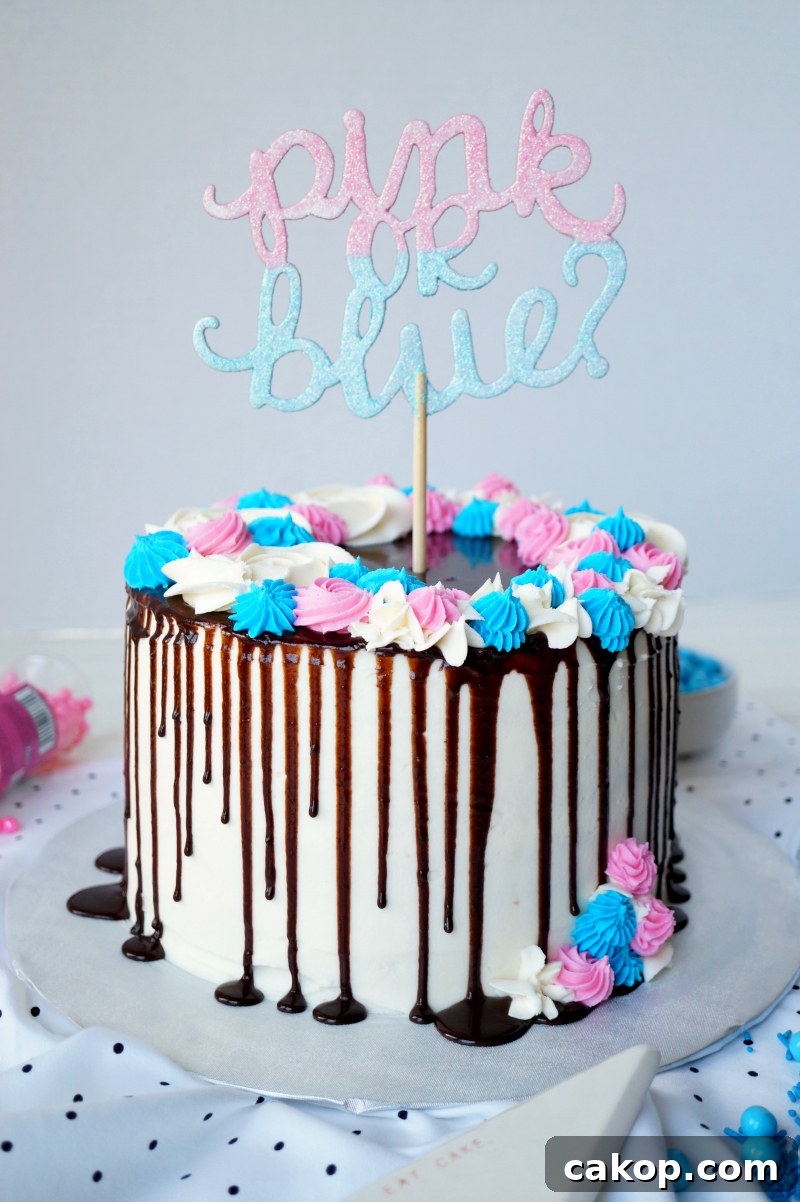 gender reveal piñata cake | The Baking Fairy