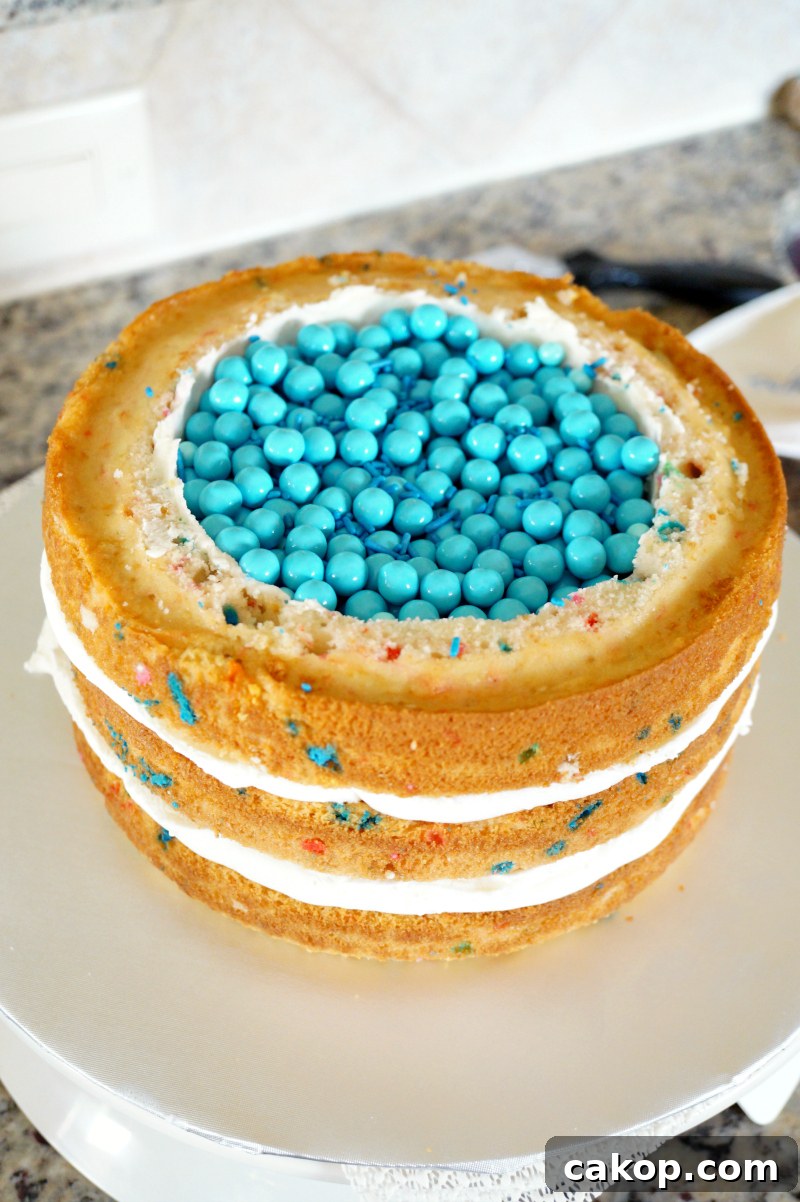 gender reveal piñata cake | The Baking Fairy