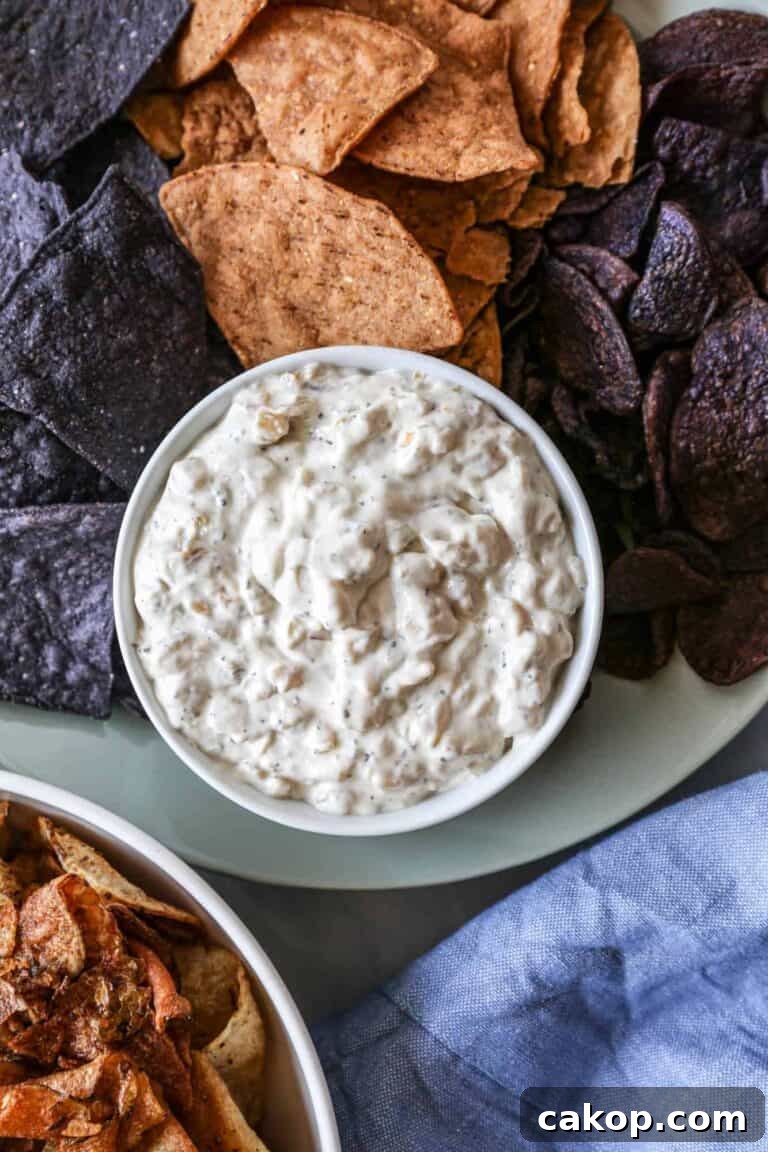 Gluten Free Caramelized Onion Dip
