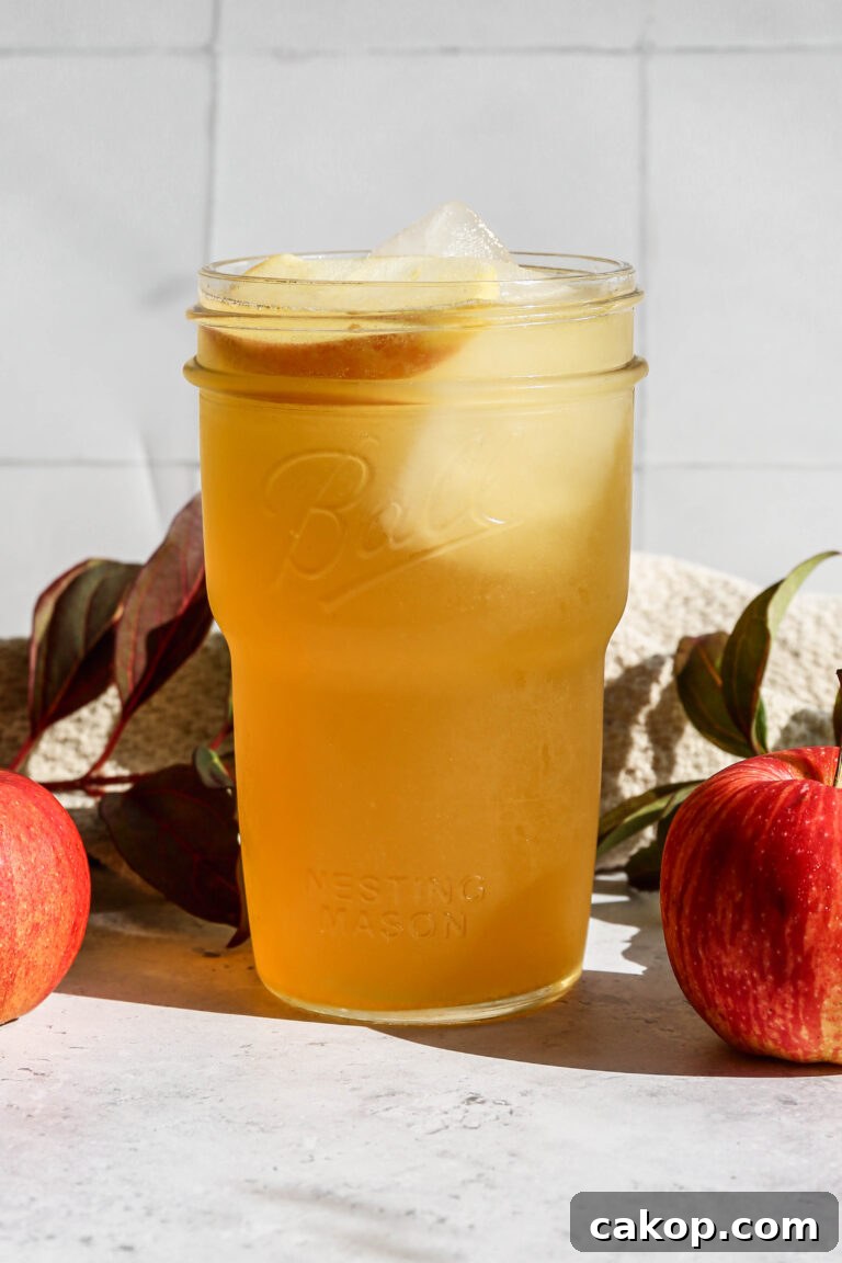 Non Alcoholic Spiced Apple Fizz Drink