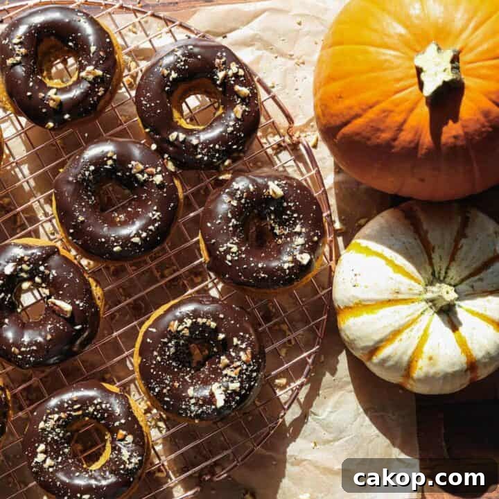 My Favorite Gluten Free Fall Recipes