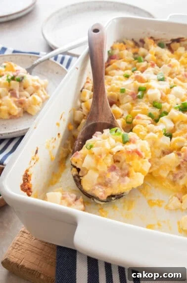 Cheesy ham and potato casserole