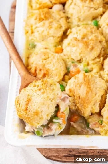 Chicken and dumpling casserole