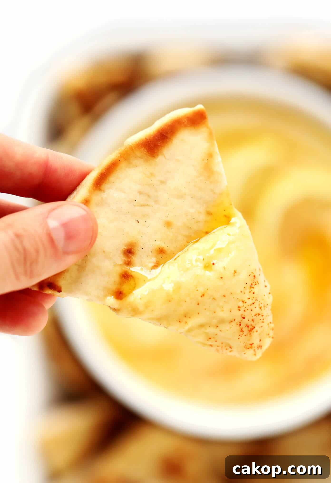 Greek Fava Dip Closeup Greek Fava Dip with Pita Closeup