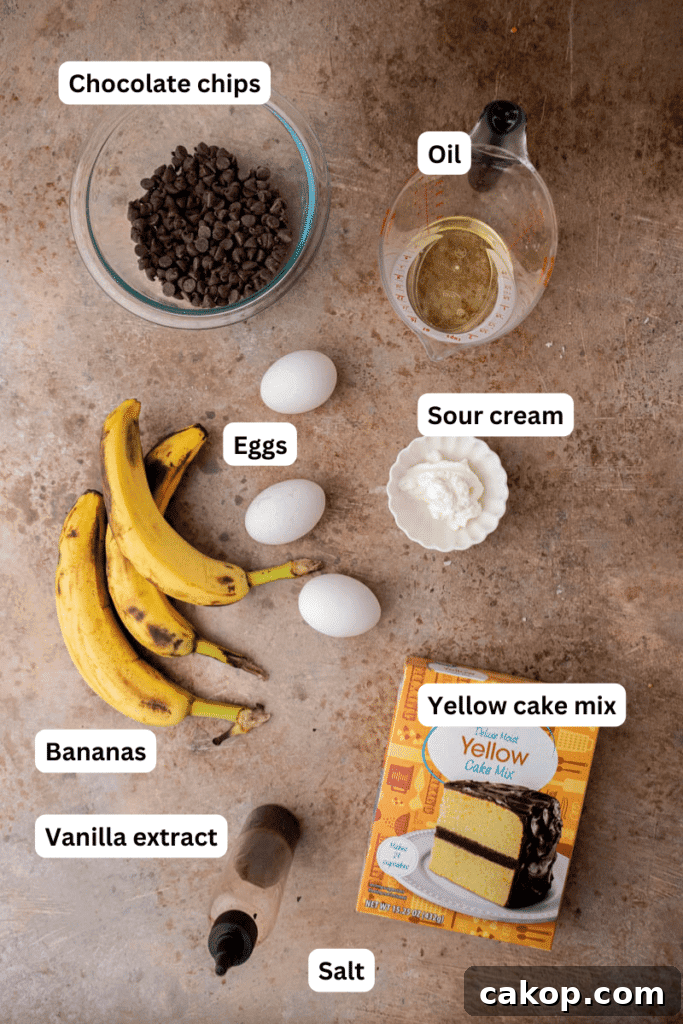 Ingredients on the counter